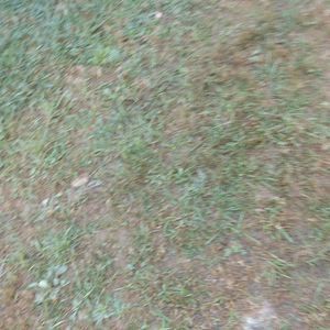 Meet your Posher, Craig